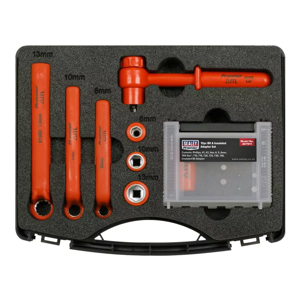 19pc Hybrid & Electric Vehicle Battery Tool Kit