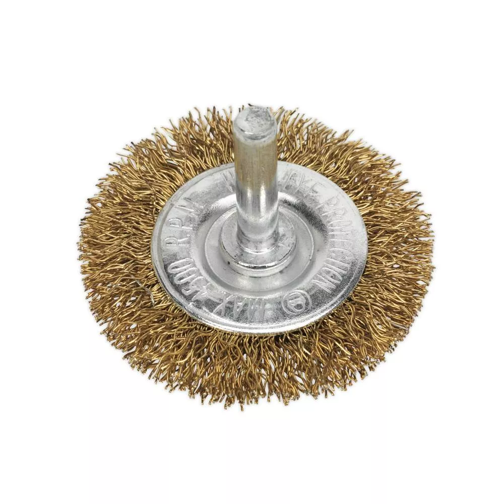 Ø50mm Flat Wire Brush with 6mm Shaft