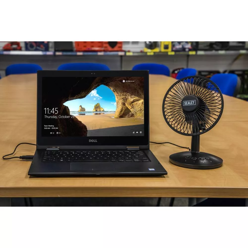 Oscillating USB Desk Fan 6in.
